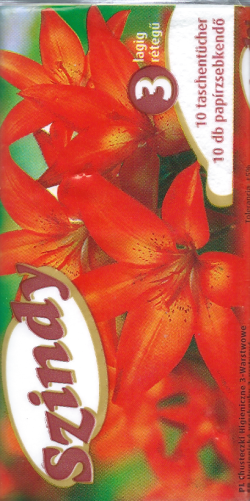 Szindy