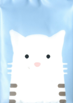 Miniso