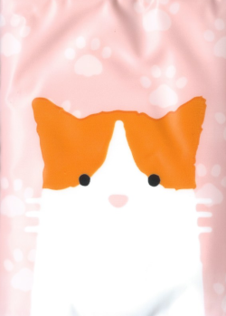 Miniso
