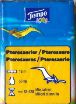 Tempo