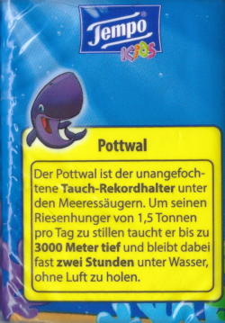 Tempo